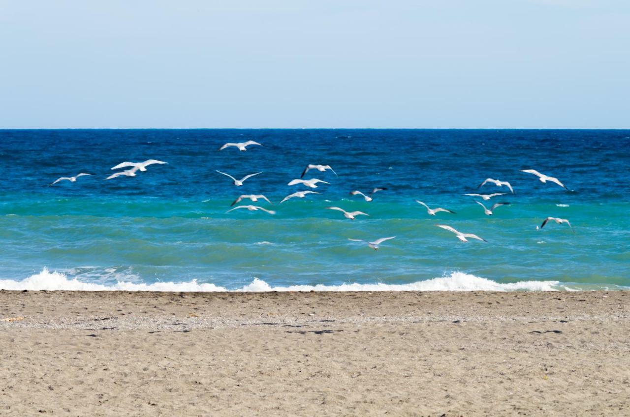 La Palometa Daire Torre Del Mar Dış mekan fotoğraf